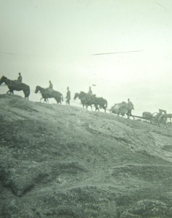 2 Fmedia2 F10895202 Fhorses pulling serbian gun carriage macedonian front eagp827n