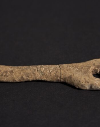 2 Fmedia2 F9141362 FDMTT022b202009 4420medieval20accessioned20martingirth