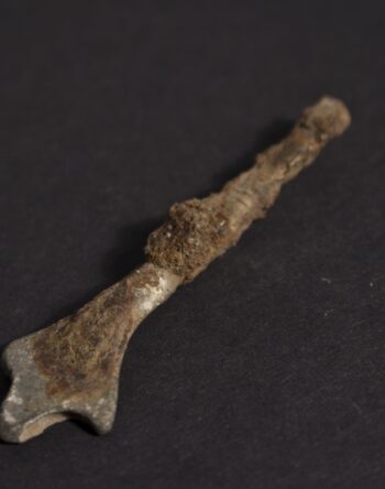 2 Fmedia2 F9141462 FDMTT023a202006 30 420iron20fragment20unident20kilncroft20farm20holywood